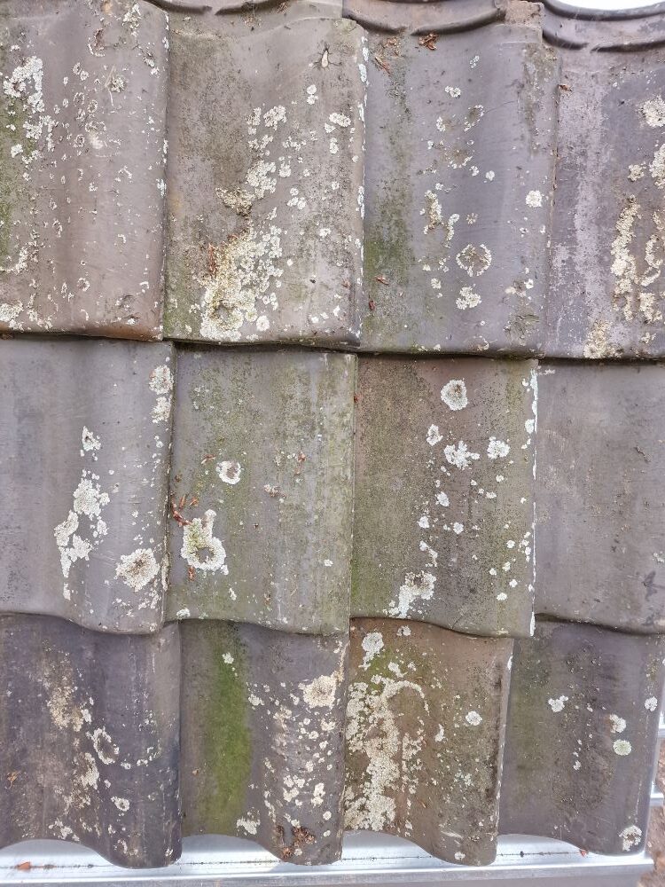 Traditec - Meeuwissen de Valk Verbeterd Romeinse dakpan blauw gesmoord (doorlopende sluiting Traditec-Meeuwissen-de-Valk-Verbeterd-Romeinse-dakpan-blauw-gesmoord-